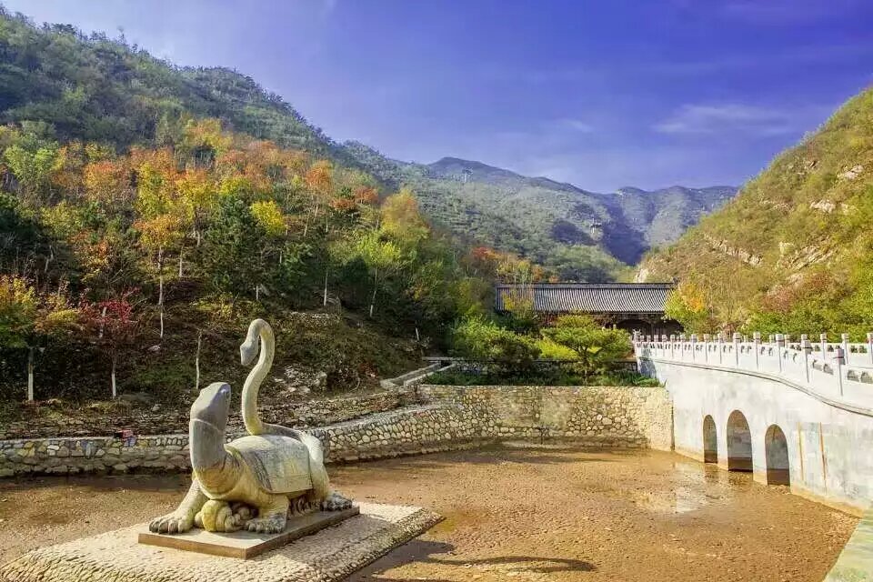 红叶正当时赏秋千灵山